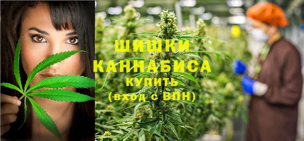 экстази Бородино