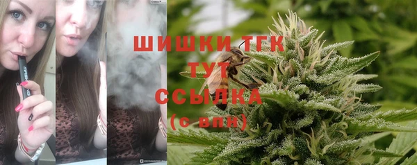 экстази Бородино