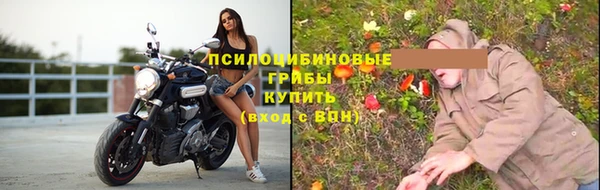 экстази Бородино