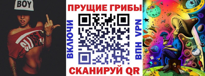 Галлюциногенные грибы Psilocybine cubensis Княгинино
